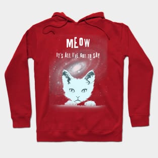 Meow..it's all I've got to say. Hoodie